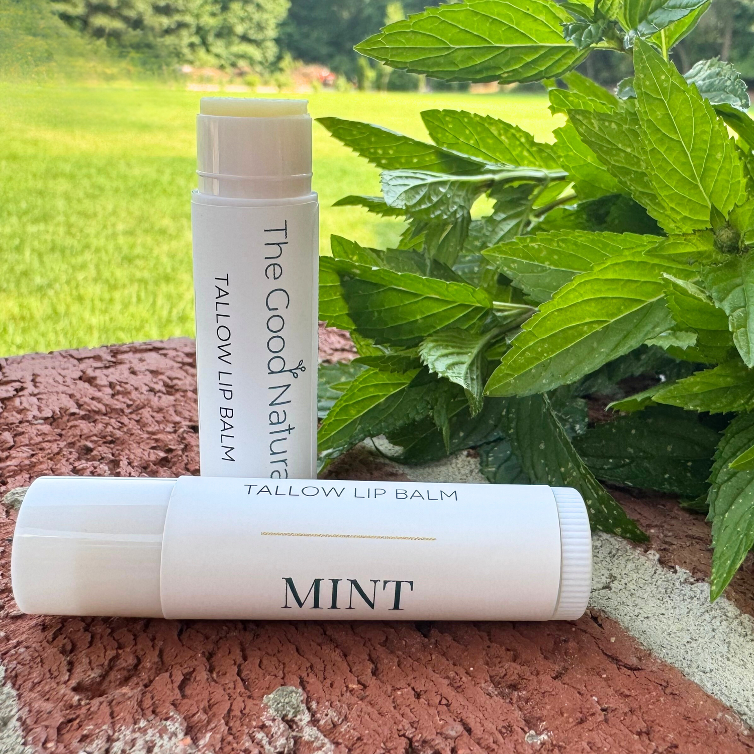 Mint Lip Balm